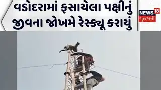 Vadodara Fire Department News | વડોદરામાં ફસાયેલા પક્ષીનું જીવના જોખમે  રેસ્ક્યૂ કરાયું | Gujarat