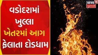 Vadodara  News : ખુલ્લા ખેતરમાં આગ ફેલાતા દોડધામ | Fire Incident | Farm | Gujarati News