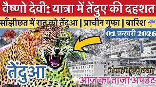 Vaishno Devi: Leopard scare during pilgrimage | Rain☔️ | Less crowd #vaishnodeviyatra #vaishnodev...