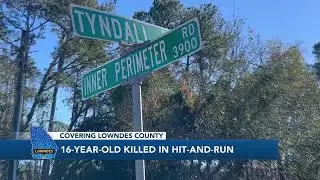 Valdosta police searching for deadly hit-and-run suspect
