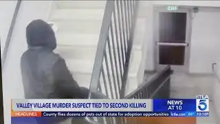 Valley Village murder suspect tied to second killing
