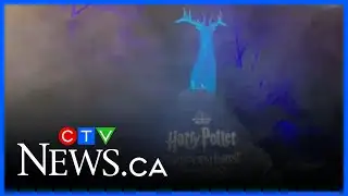 Vancouver Park Board apologizes for Harry Potter event