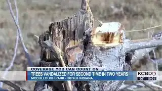 Vandals hack down trees at Lubbock park for second time in two years