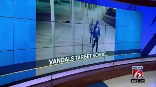 Vandals target local school