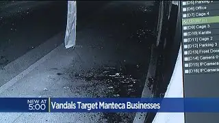 Vandals Target Manteca Businesses