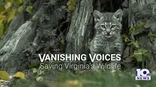 Vanishing Voices: Saving Virginia’s Wildlife