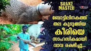 Vava adventurously rescues a mongoose whose head got stuck in a bottle | Snakemaster EP 490
