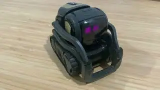 Vector robot delivers the latest news from Iran