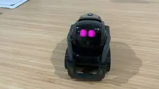 Vector robot reads live news powered by XAI