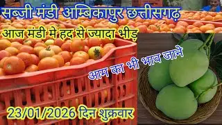 #सब्जी मंडी अंबिकापुर छत्तीसगढ़ का ताजा भाव जाने लाइव #बोली ? #vegetable #viralvideo #cg #ambikapur