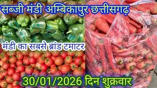 #सब्जी मंडी अंबिकापुर छत्तीसगढ़ का ताजा भाव जाने लाइव #बोली ?  #vegetable #viralvideo #cg #ambikapur