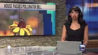 Vermont House passes pollinator protection bill