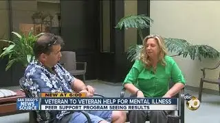 Veteran-to-veteran help to combat mental illness: Peer Support Program showing results