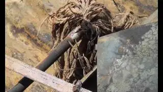 Victims of Shack Fires In Despair