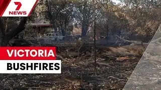 Victorian bushfires devastate communities and destroy homes | 7NEWS