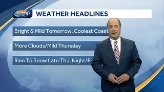 Video: Bright, mild day ahead