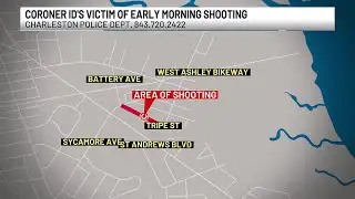 VIDEO: Charleston County coroner identifies woman killed in Tripe Street shooting