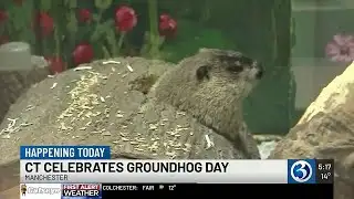VIDEO: Chuckles ready to make his Groundhog Day Prediction