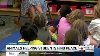 VIDEO: Classroom Champions: Charleston Co. school counselor needs items for classroom calming ani...
