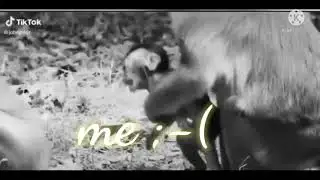 video clip from just between lovers ep.12/ sana all.