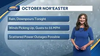 Video: Downpours with gusty winds