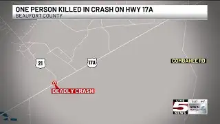 VIDEO: Driver dies after striking tree in Beaufort County single-vehicle crash