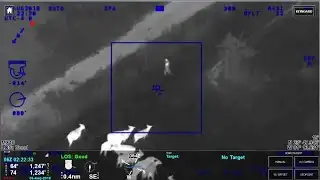 Video Extra: Cows corral car thief