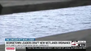 VIDEO: Georgetown leaders drafting first wetland protection ordinance