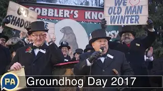 Video: Groundhog Day 2017