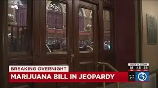 VIDEO: Lawmakers pass $46 billion budget