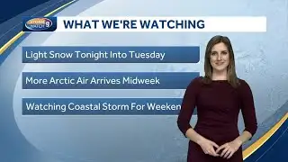 Video: Light snow falls overnight