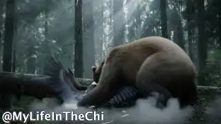 Video of a Vicious attack