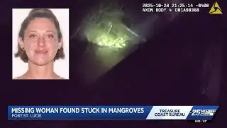 VIDEO: Rescuers save missing woman stuck in mangroves