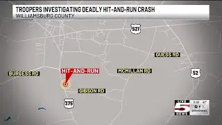 VIDEO: SC troopers investigate fatal Williamsburg County auto-pedestrian hit-and-run