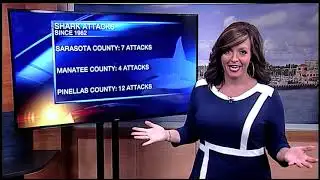 Video: Shark Attack Numbers Noon June 18,2018