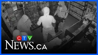 Video shows brazen smash-and-grab at collectibles shop