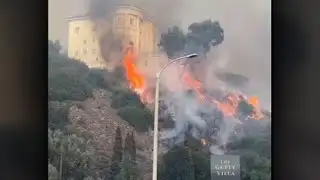 Video shows trees, brush on Getty Villa Museum grounds on fire