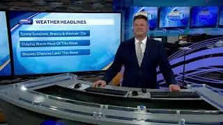 Video: Some sunshine on warmer day