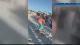 Video: Spring break crowd cheers on handcuffed man who escapes from Florida police cruiser