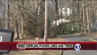 Video: Strong winds topple trees, bring down wires