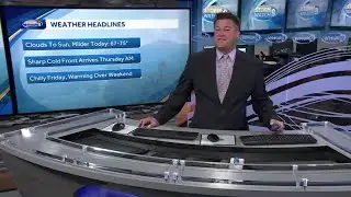 VIDEO: Sunnier and milder