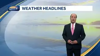 Video: Sunny with low humidity