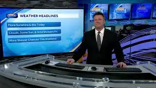 Video: Sunshine on mild day