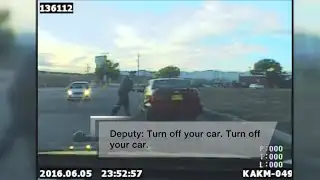 Video: Suspected drunk driver flees deputy at traffic stop