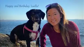 Video: Tracking rain and wind (11-14-20)