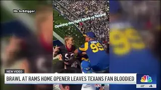 Violent brawl between LA Ram fans and Houston Texan fans at SoFi