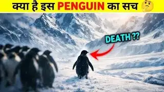 Viral Penguin Video Explained in Hindi | Penguin Mountain Documentary | Penguin Depressed Explained