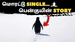Viral Penguin Video | Nihilist Penguin | Werner Herzog | Penguin Documentary | Penguin Meme