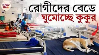 Viral Video | Hooghly ESI Hospital | হুগলির গৌরহাটি ইএসআই হাসপাতালে রোগীদের বেডে কুকুর