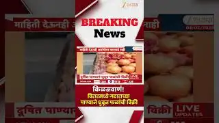Virar Viral Video | किळसवाणं! गटाराच्या पाण्य़ानं धुतली फळं Zee24Taas